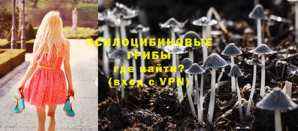 бошки Вуктыл