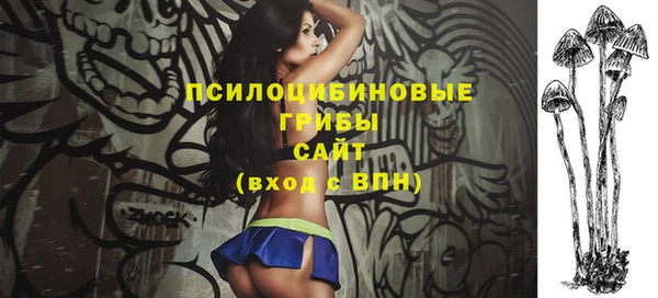 гидропоника Абаза