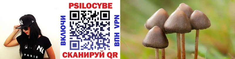 гидра tor  Инта  Галлюциногенные грибы прущие грибы 